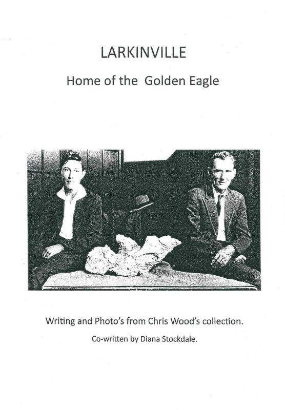 Larkinville: Home of the Golden Eagle by Chris Woods and Diana Stockdale